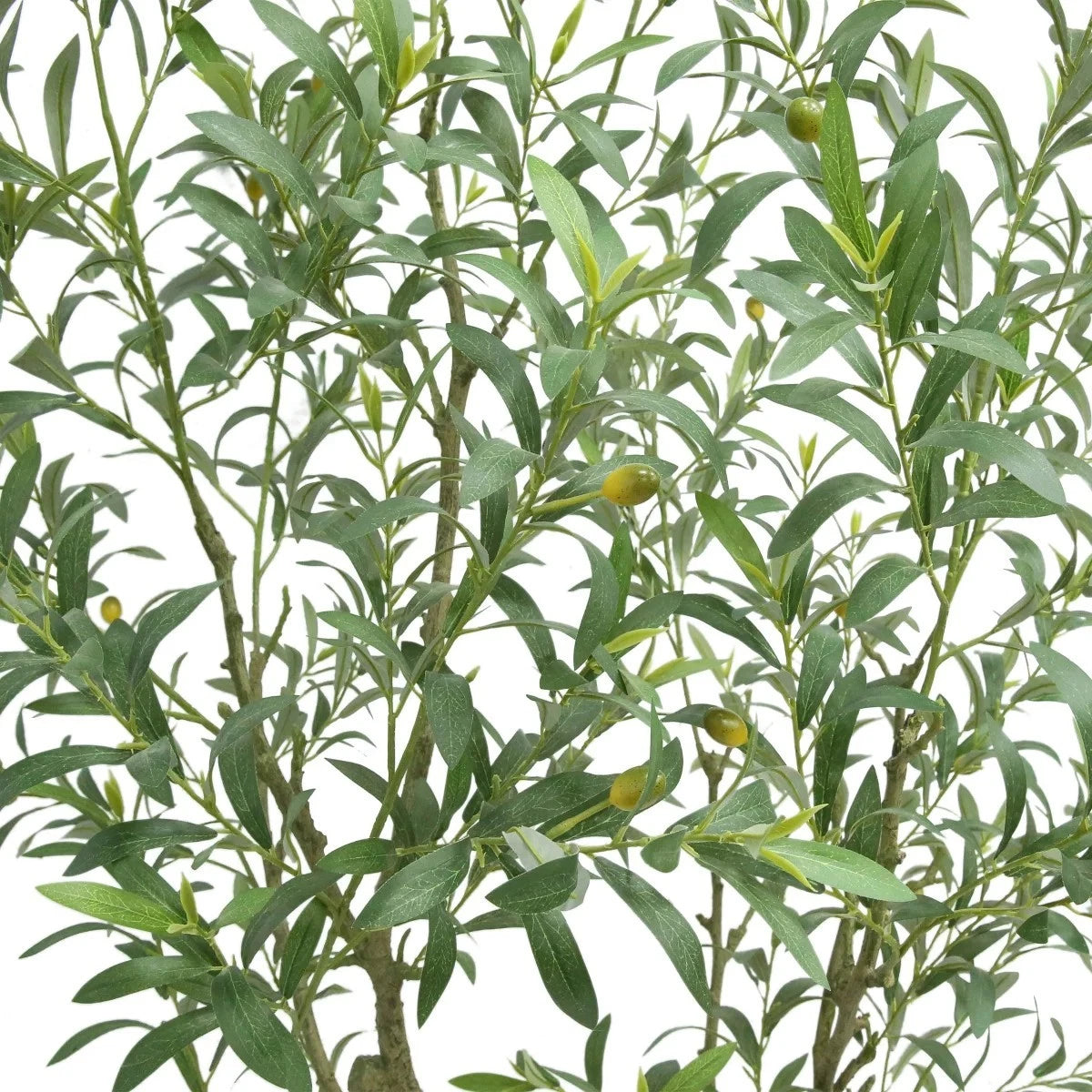 New CGH Artificial Faux 6.5’ Olive Tree w/French Crock Planter, 1695672